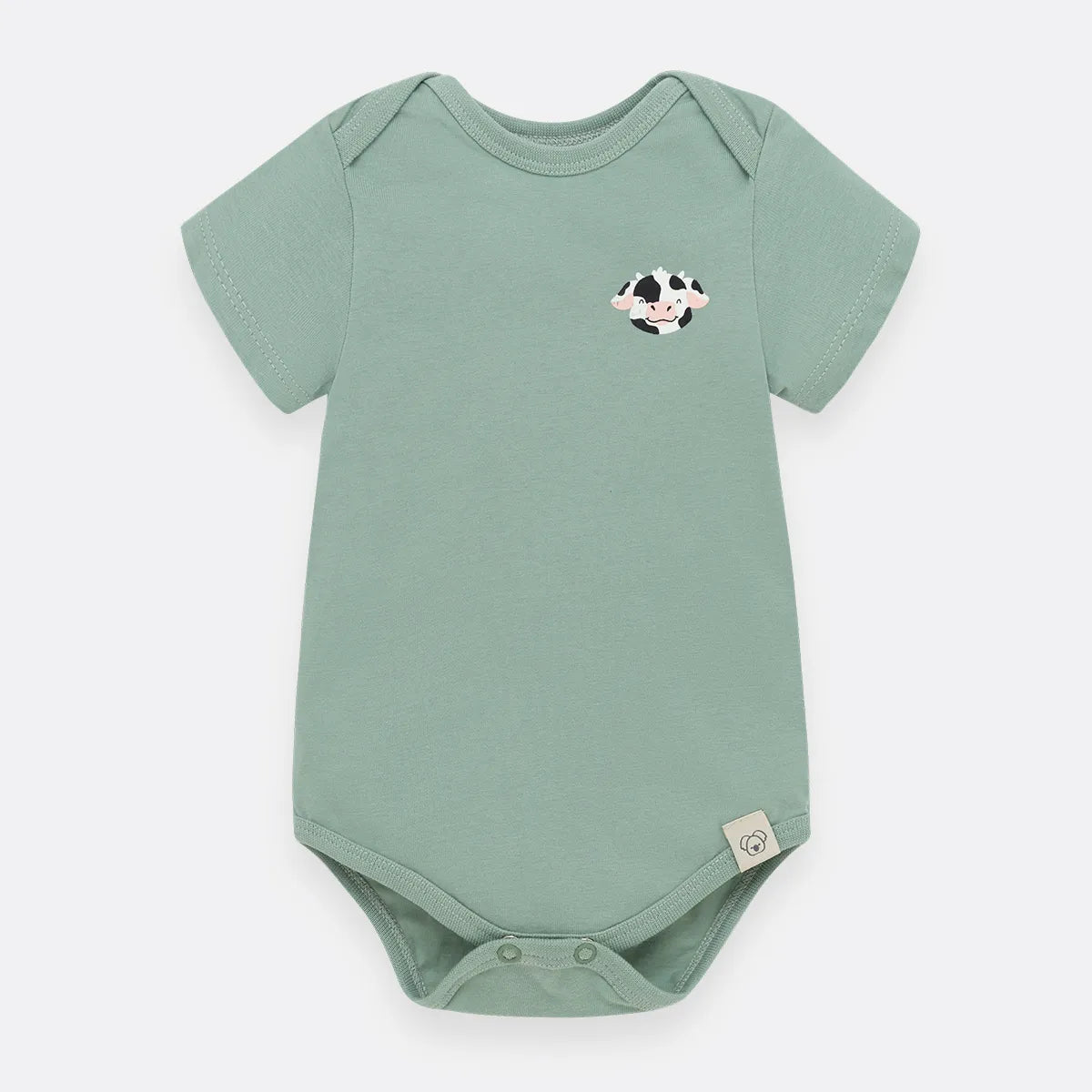 Body Vaquita