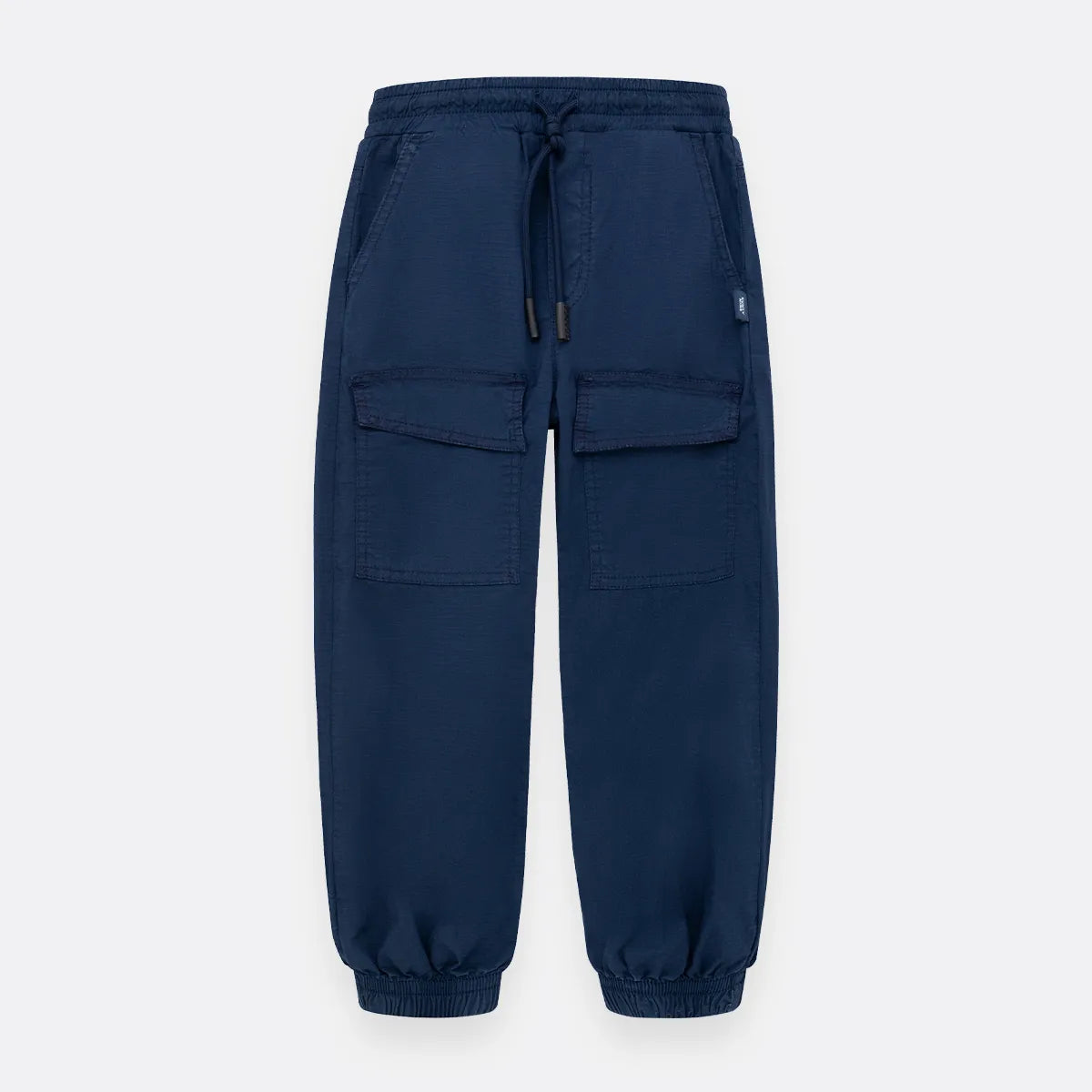 Pantalon Jogger Azul