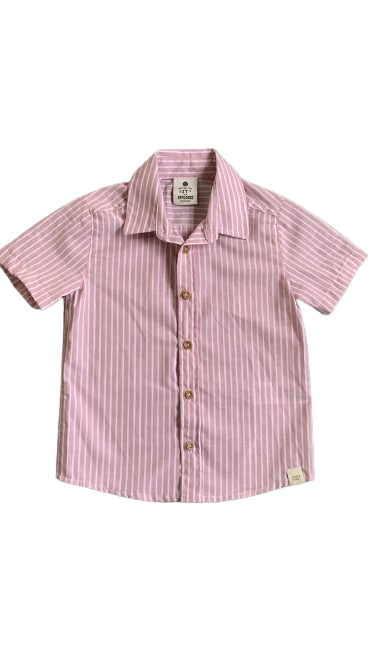 Camisa Rayas Palo De Rosa